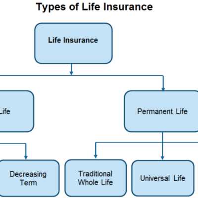 Types Life Insurance