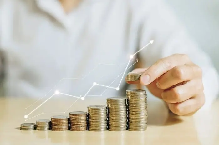 Stock Investments Long Term