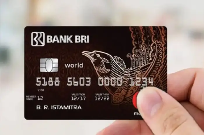 Types of BRI Credit Cards that Offer the Best Features for Various Needs